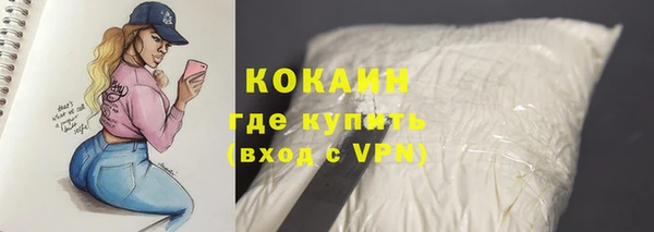 тгк Няндома